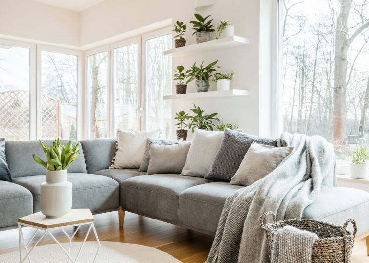 house plants in staged living room