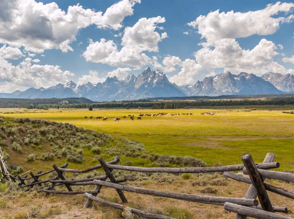 Wyoming Real Estate License School