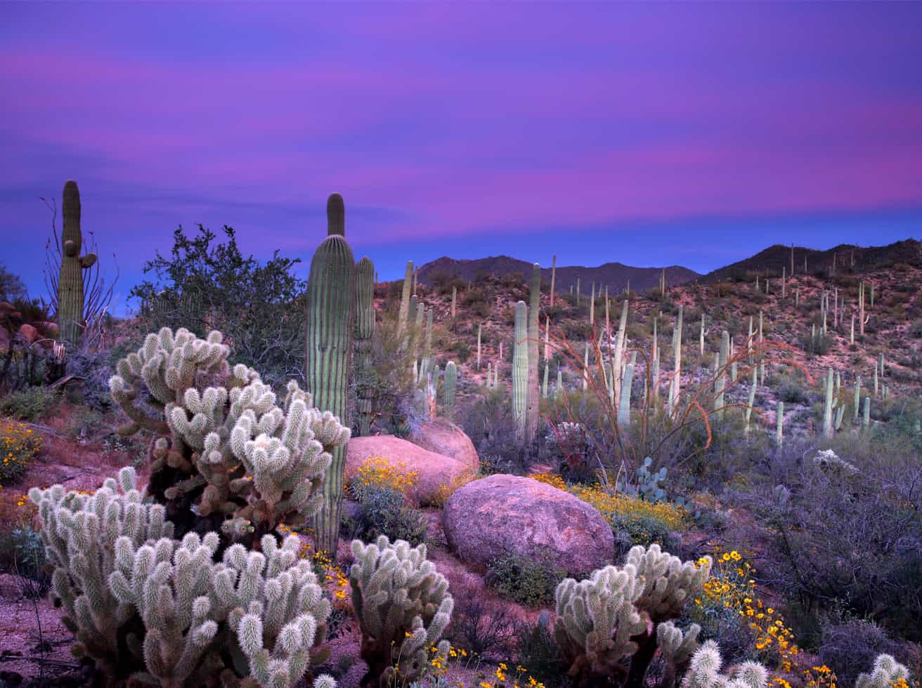 Arizona Real Estate Exam Prep & Practice Exam Course Online