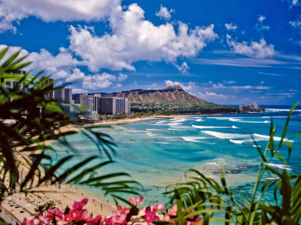 Hawaii real estate education