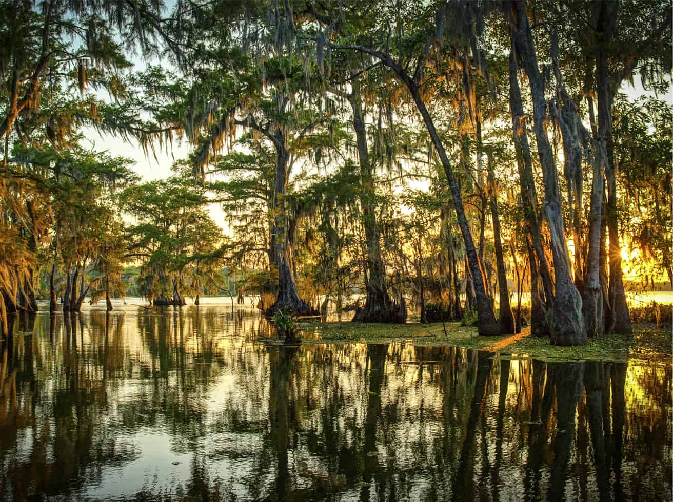 Louisiana Real Estate Exam Prep & Practice Exam Course Online