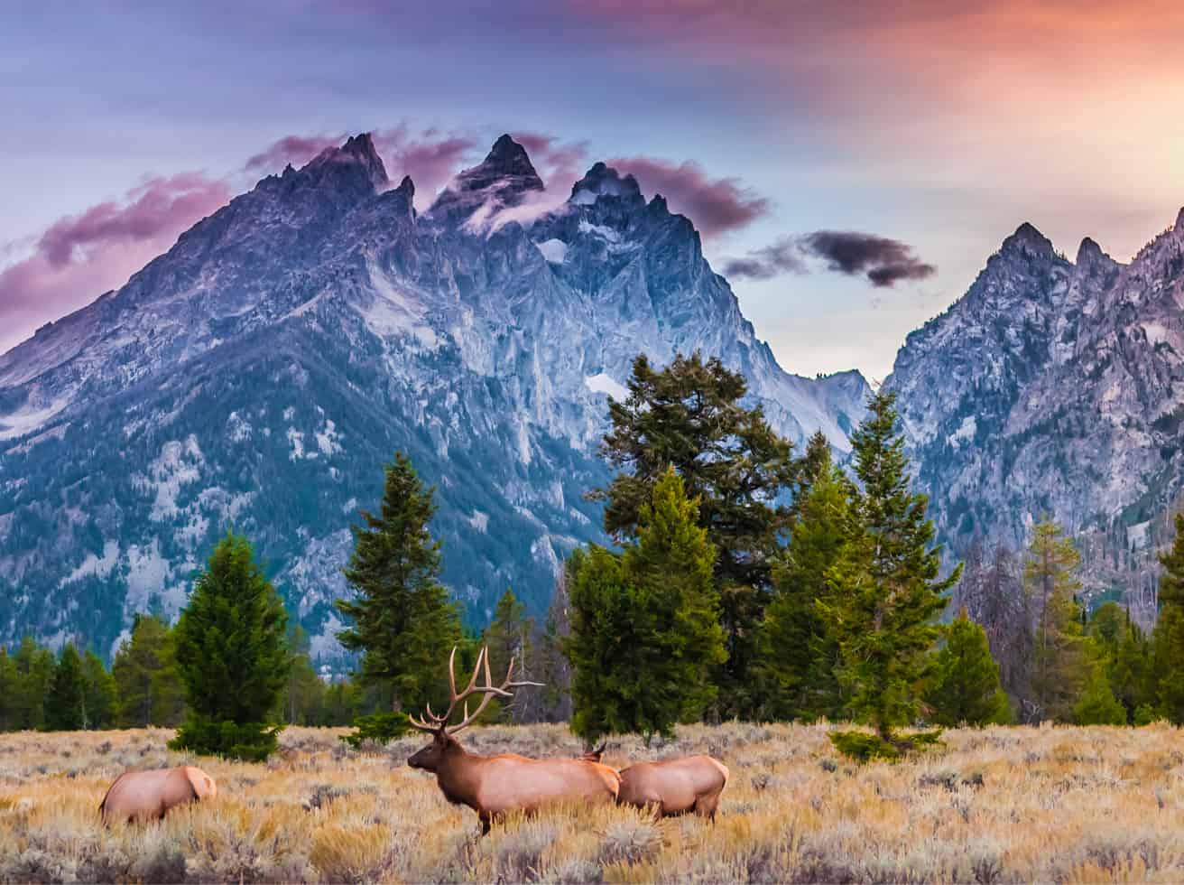 Montana Real Estate Exam Prep & Practice Exam Course Online