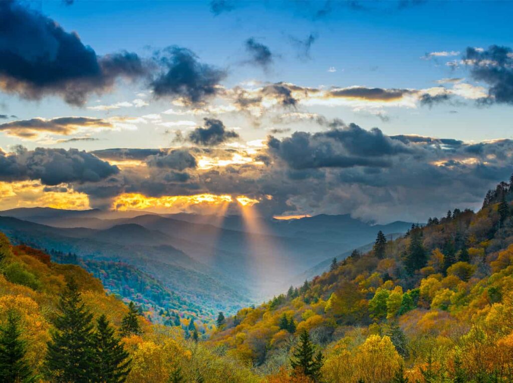 Tennessee real estate education