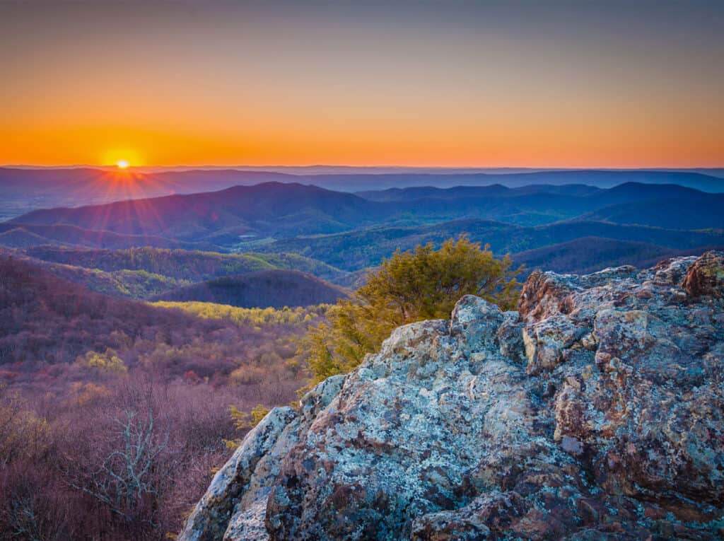 Online courses to renew Virginia sales agent and broker license with CE classes through Colibri Real Estate