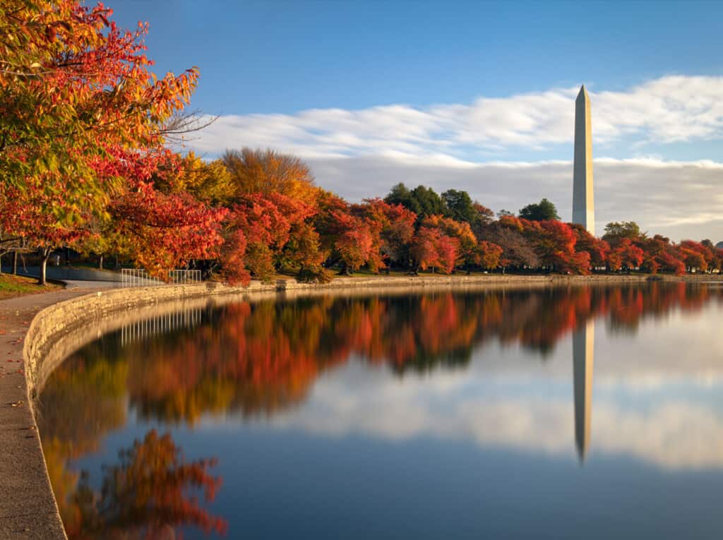 how to become a real estate agent in washington, dc