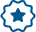 Pro Icon