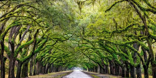 Average Real Estate Commission in Georgia: Learn What You Can Earn in 2026