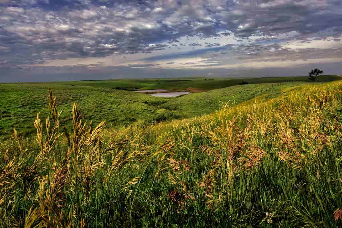 how to become a real estate agent in kansas