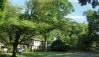 Real Estate Postcards: A New Agent’s Guide To Ideas, Templates, And Compliant Mailings